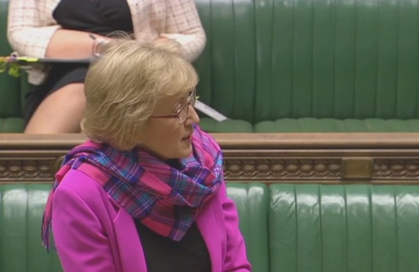 Zoom Call With Rt Hon Andrea Leadsom MP Scottish Borders   Image 